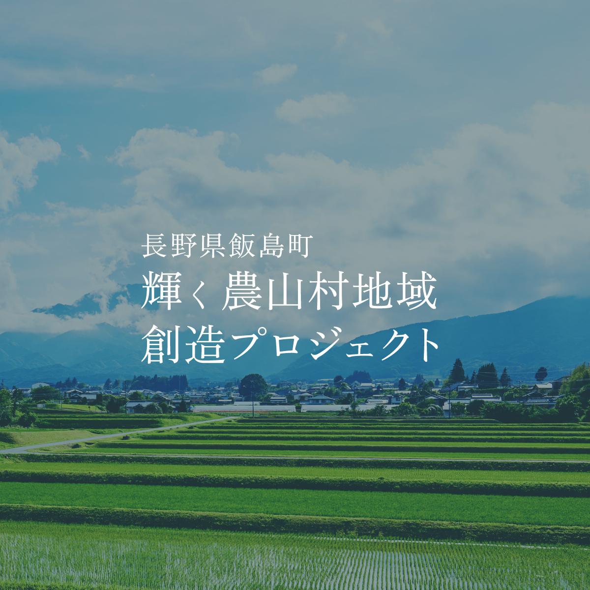 おいもちゃん 中古 100% Slendale Tokyo おいもちゃん | 長野県飯島町 輝く農山村地域創造プロジェクト