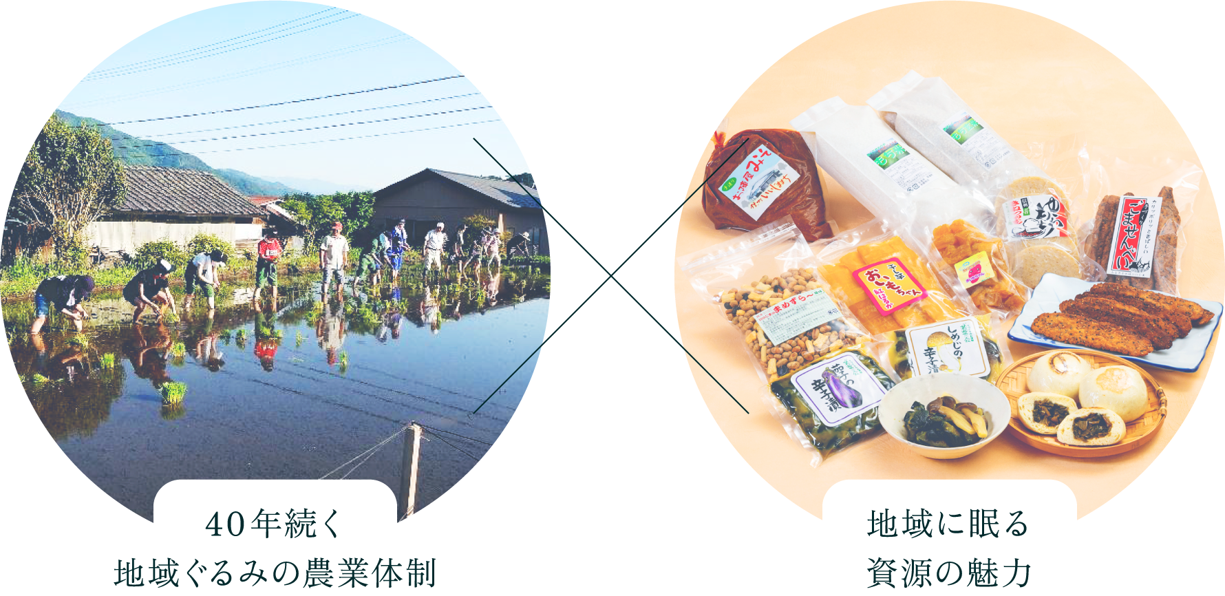 40年続く地域ぐるみの農業体制×地域に眠る資源の魅力