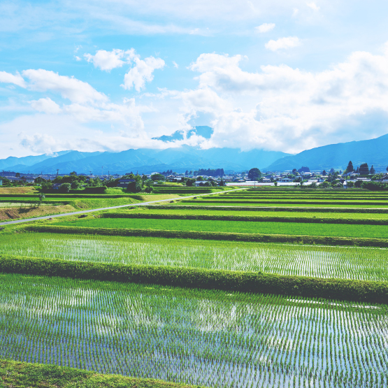 長野県 飯島町 写真