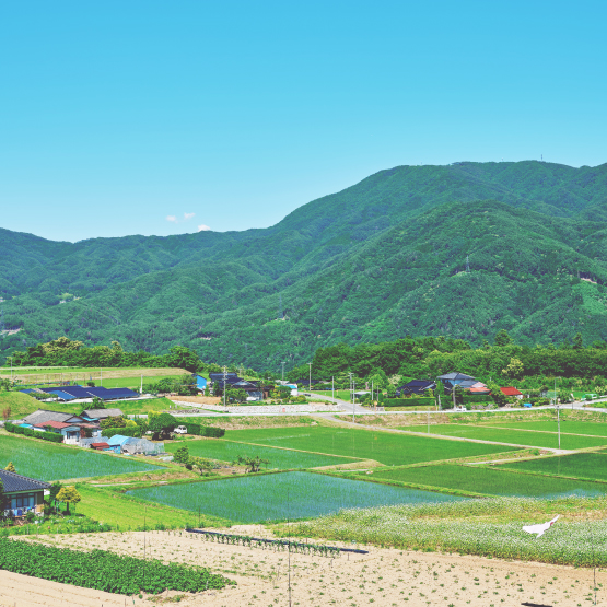 長野県 飯島町 写真