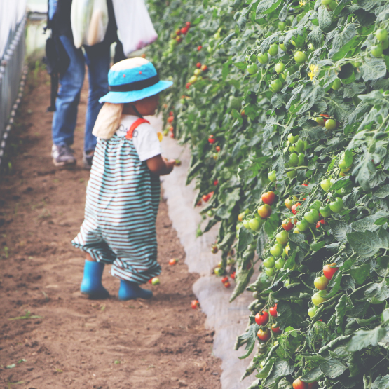 長野県 飯島町 写真