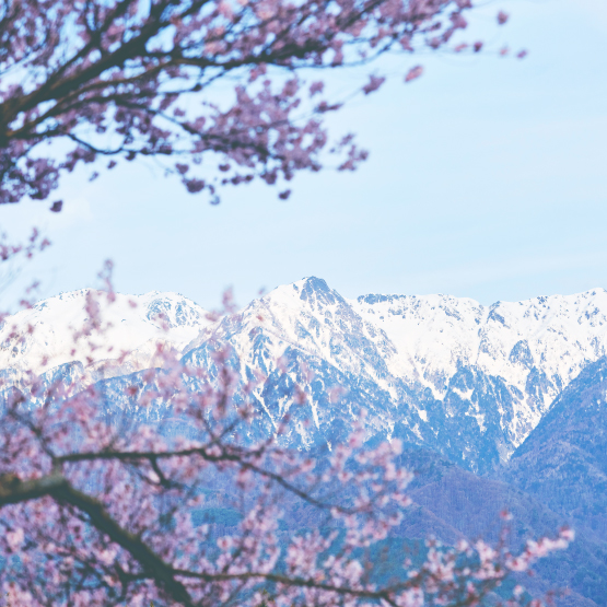 長野県 飯島町 写真