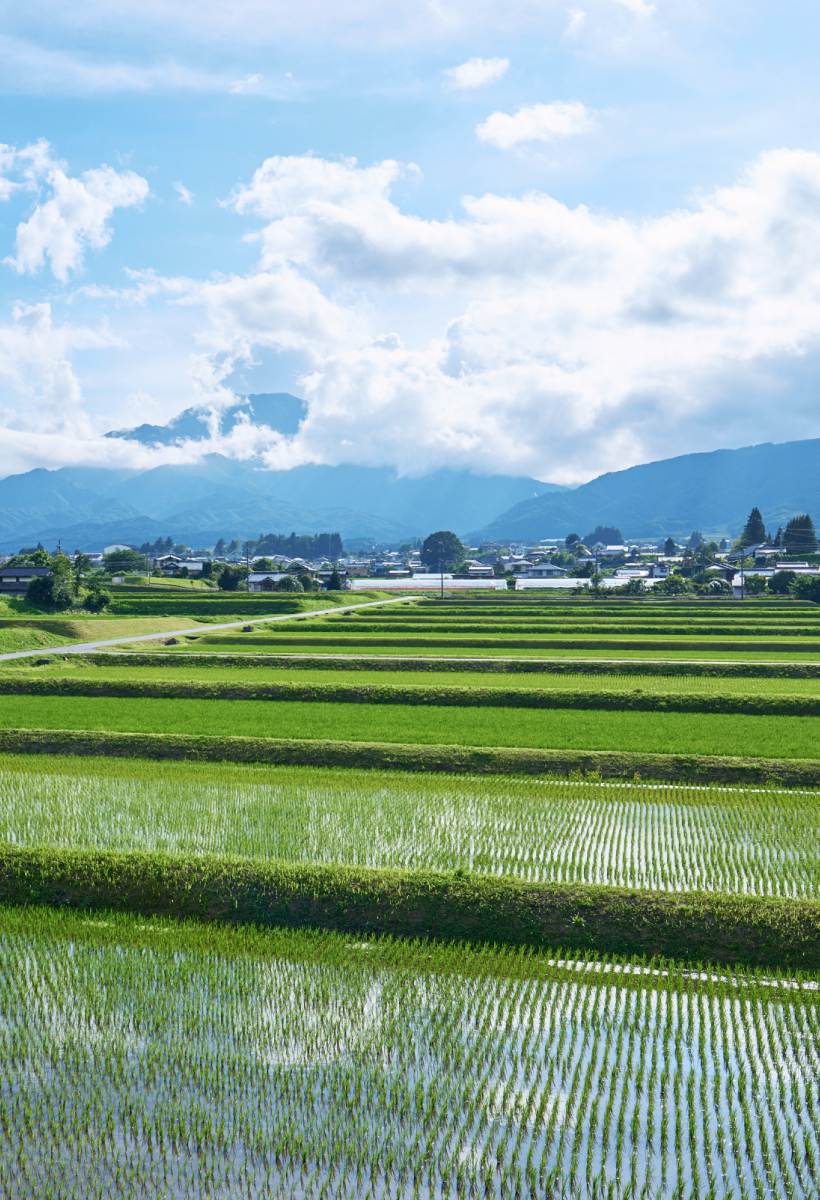 地域複合営農のブラッシュアップ・体制の進化