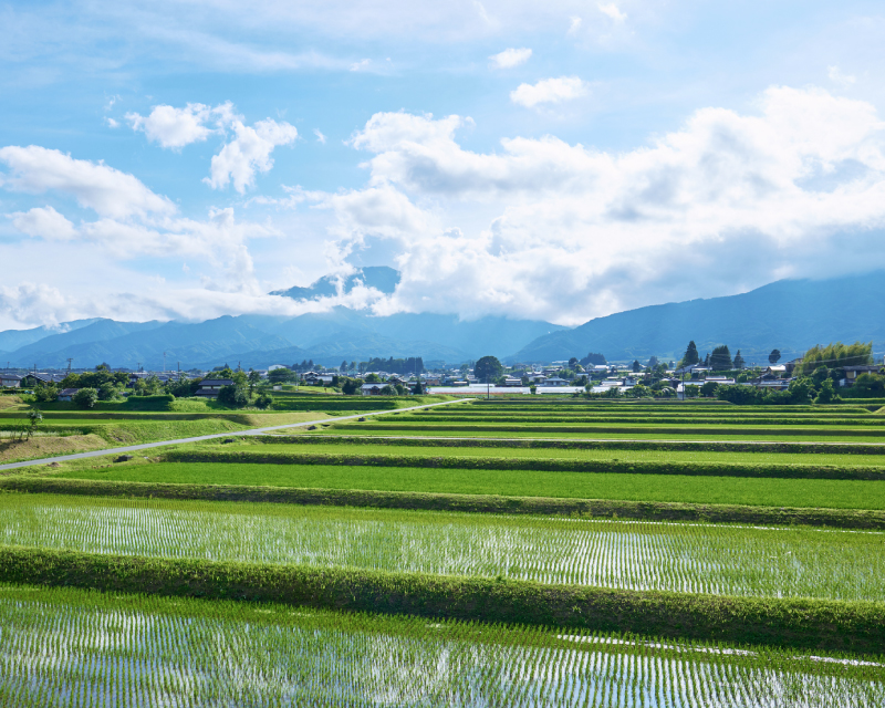 地域複合営農のブラッシュアップ・体制の進化