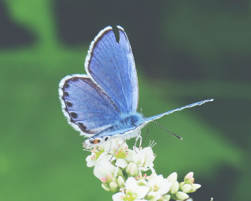 生物多様性の保全と環境保全型農業の推進
