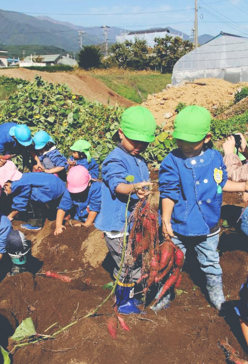 地域内外の多様な主体による新たな価値の創出